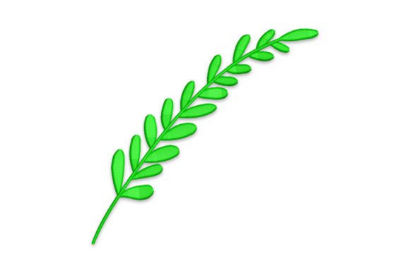 Green Branch with Leafs: A Designer's Review
